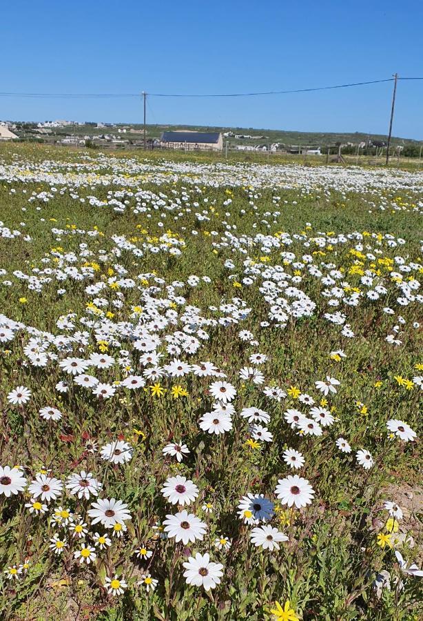 Aintree Farm Cottage Langebaan Eksteriør billede
